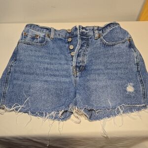 PacSun Light Blue Jean Shorts